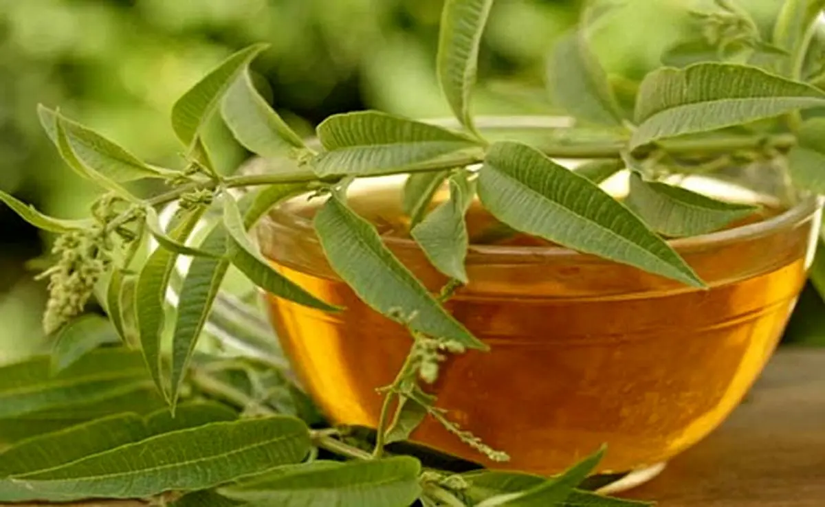 موثرترین نسخه خانگی برای لاغری/ شربتی که شما را خوشاندام میکند