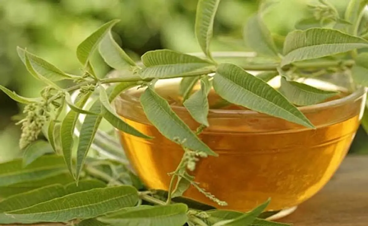 موثرترین نسخه خانگی برای لاغری/ شربتی که شما را خوش‌اندام می‌کند