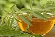 موثرترین نسخه خانگی برای لاغری/ شربتی که شما را خوش‌اندام می‌کند