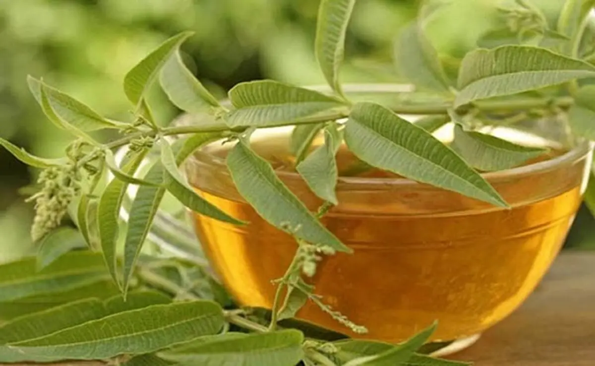 شربتی خوش عطر برای تقویت معده