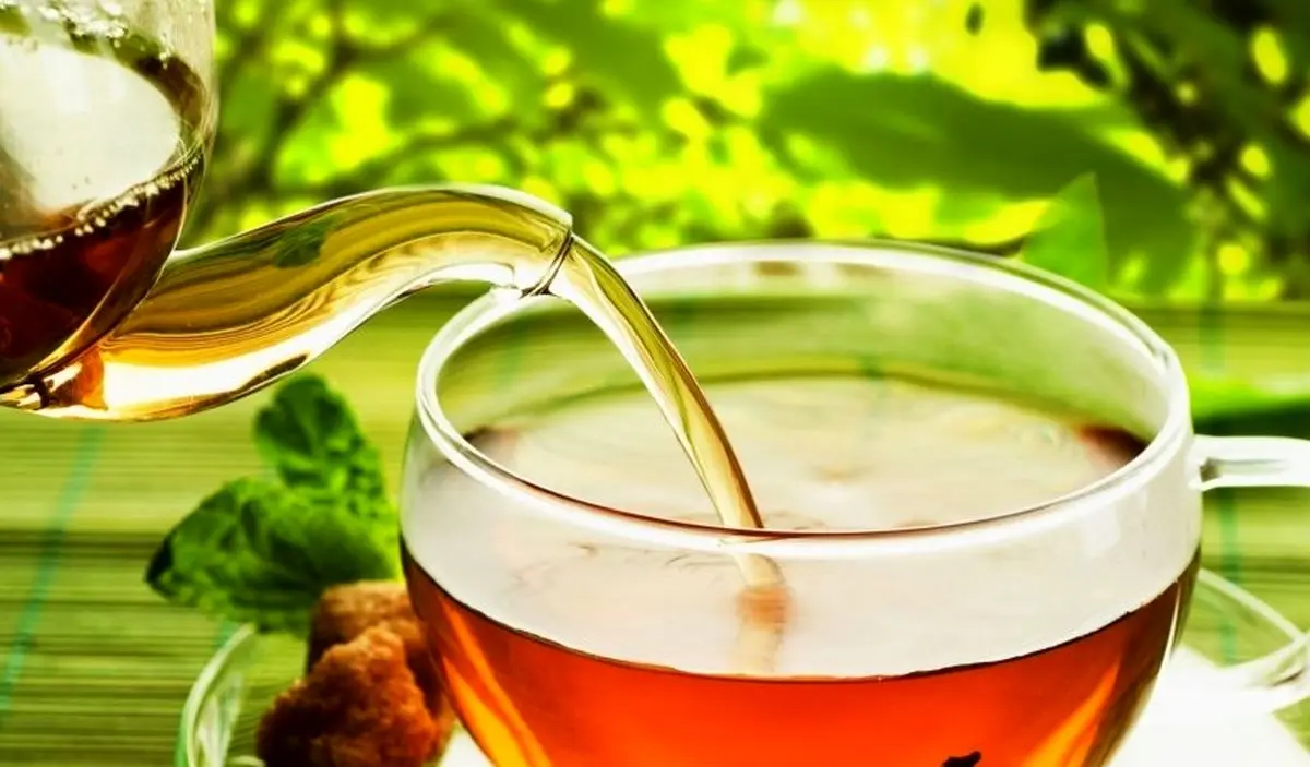 با گیاهان دارویی چربی خون را درمان کنید!