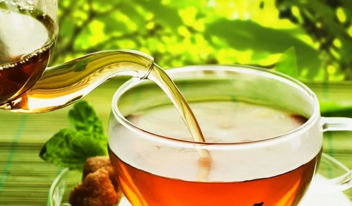 با گیاهان دارویی چربی خون را درمان کنید!