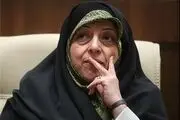 حضور سیاسی رئیس محیط زیست، پررنگ‌تر از حضور محیط زیستی