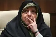 سه حاشیه مهم ابتکار/ از مصاحبه با رسانه های معاند تا واردات بنزین از سوی شوهر و باغ خواری