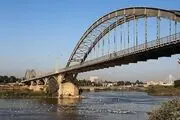 کارون میزبان پرندگان ماهی خوار/ گزارش تصویری