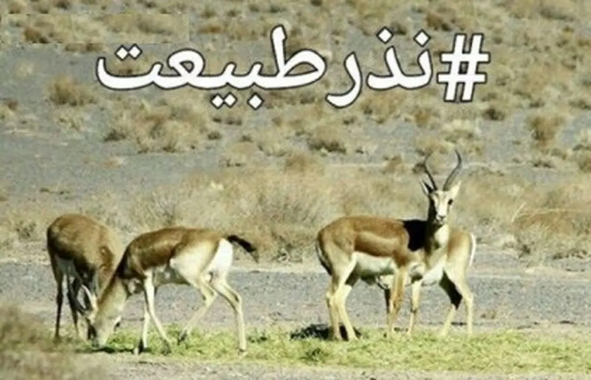 پدیده‌ای جدید به نام«نذر محیط‌زیست»