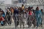 پناهجویان افغان: ما را به‌خاطر اوکراینی‌ها اخراج کردند