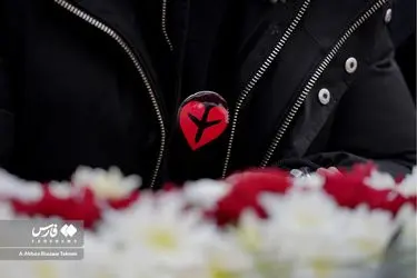 بزرگداشت شهدای سقوط هواپیمای اوکراینی/ گزارش تصویری