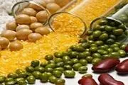 چگونه گرسنه نشویم؟