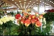 نمایشگاه گل و گیاه/گزارش تصویری