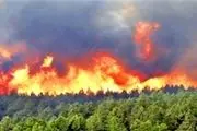 هشدار سازمان محیط زیست در خصوص احتمال وقوع آتش سوزی در جنگلها به دلیل افزایش 