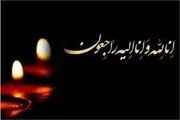 درگذشت تلخ عکاس ورزشی درسانحه پیست آزادی