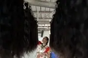 تجارت پرسود مو در هند/گزارش تصویری