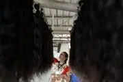 تجارت پرسود مو در هند/گزارش تصویری