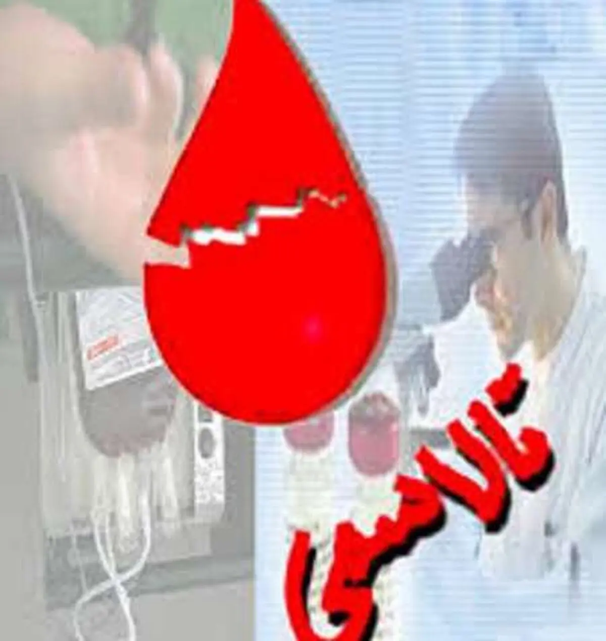 20درصد جمعیت
مازندران
حامل ژن تالاسمی