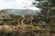 شروع انفجاری «شیر شاه»/ رکوردشکنی انیمیشن محبوب