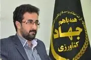 تولید سالانه 120 تن عسل در استان خراسان جنوبی