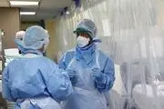 نحوه رفتار با بیماران کرونایی/اینفوگرافی