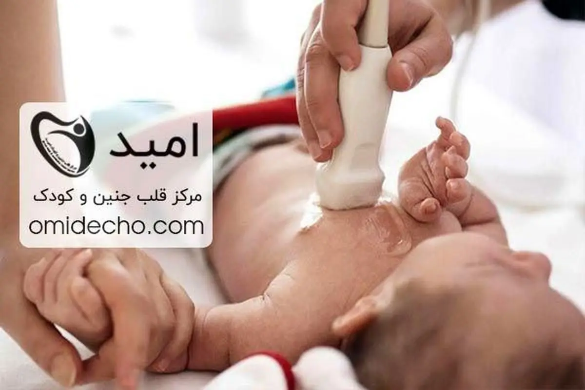 اکو قلب جنین برای تشخیص سوراخ در قلب نوزادان