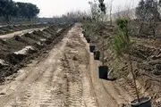 اندر حکایت افزایش 2 متر مربعی سرانه فضای سبز در شهرقدس