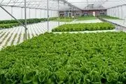 تا نابودی فاصله‌ای نیست
