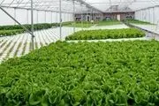 تا نابودی فاصله‌ای نیست