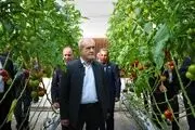 پیام تبریک پزشکیان برای صعود تیم ملی فوتبال به جام جهانی
