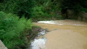 ۴ روستای نوشهر دچار آبگرفتگی شدند