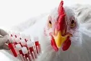 بزرگ‌ترین بیماری ۲۰۲۵ چه خواهد بود؟
