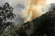مهار آتش در جنگل ها و مراتع شهرستان پاوه در روستای هیرویی