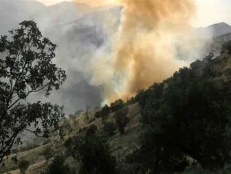 مهار آتش در جنگل ها و مراتع شهرستان پاوه در روستای هیرویی