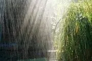 کاهش
100 درصدی بارندگی در سیستان و بلوچستان 