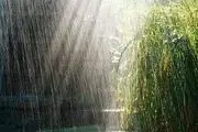 کاهش
100 درصدی بارندگی در سیستان و بلوچستان 
