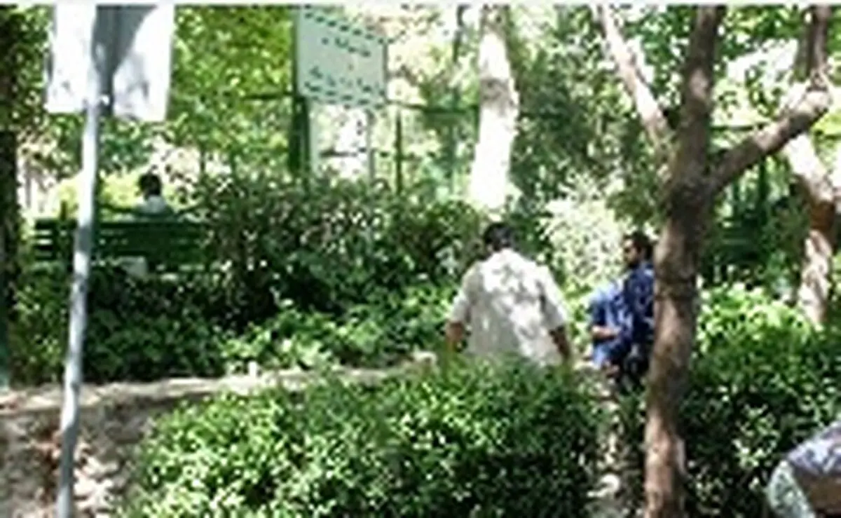 وقتی که خبرنگار خریدار مواد می‌شود!