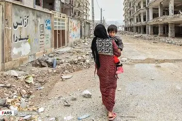 1E1SJ67wsYKv