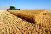 بحران کشاورزی جدی است/ درها برای واردات دوباره باز می‌شود؟