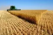  خلاقیت کشاورزان چینی در سیستم آبیاری/ عکس