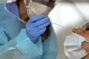 	تست pcr کرونا