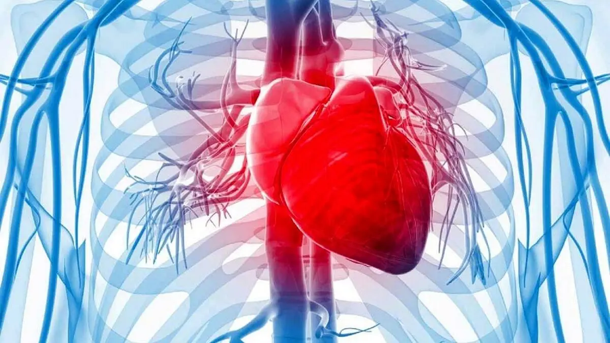 سابقه ناباروری با افزایش خطر نارسایی قلبی مرتبط است
