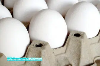 تخم مرغ صنعتی یا محلی، کدام سالم تر است؟