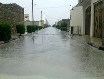 بارش باران تابستانی شهرستان بستک را سیراب کرد