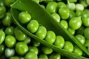 مبارزی کوچک در برابر سرطان معده
