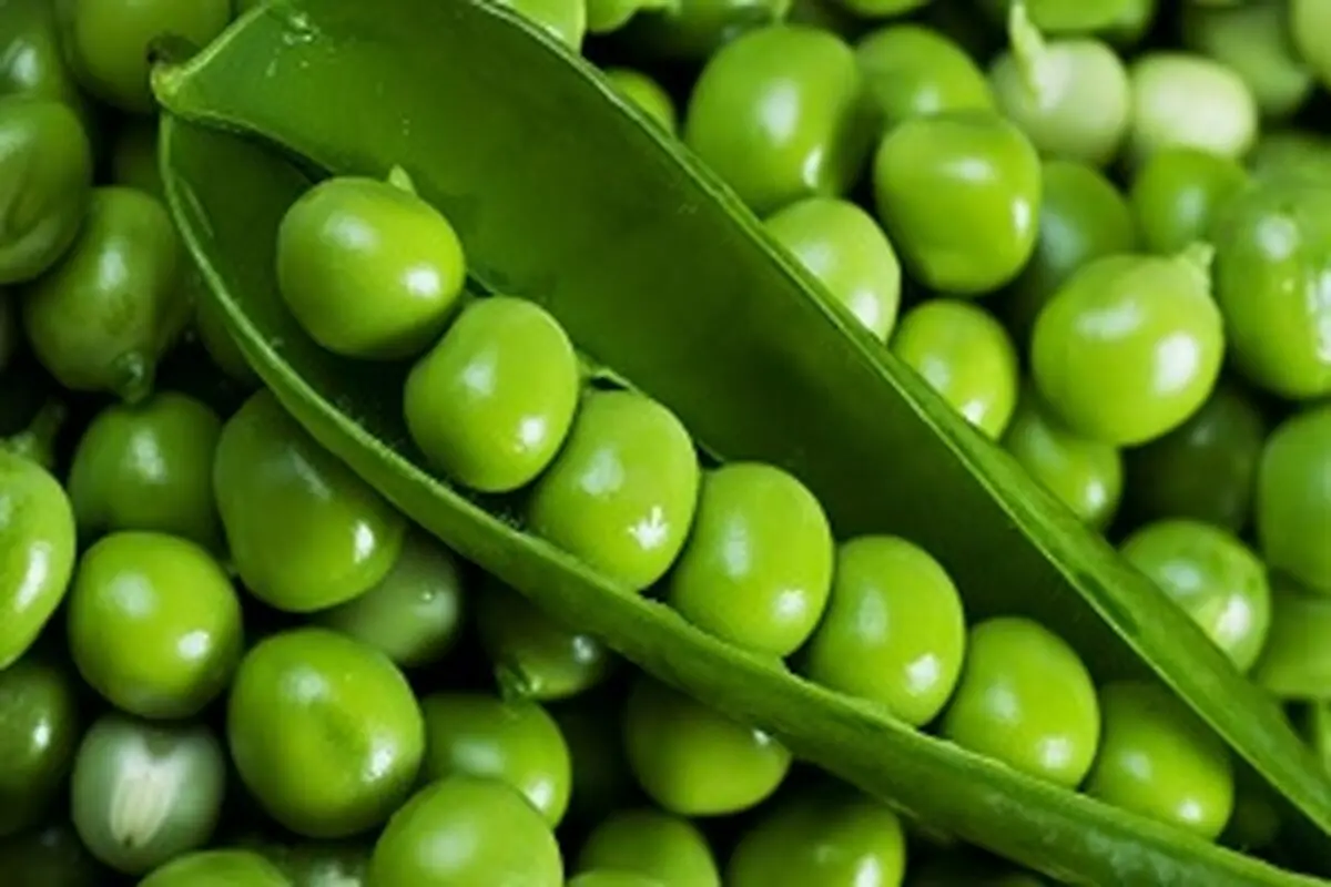مبارزی کوچک در برابر سرطان معده
