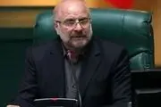 اعلام آمادگی رئیس مجلس برای اصلاح قوانین صدور کارت بازرگانی