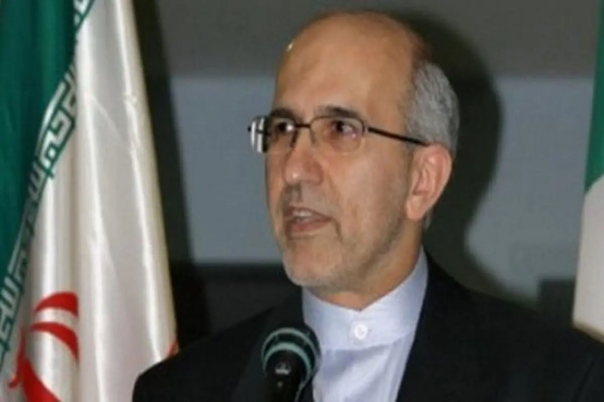 ایرانیان باید از قوانین داخلی گرجستان مطلع شوند