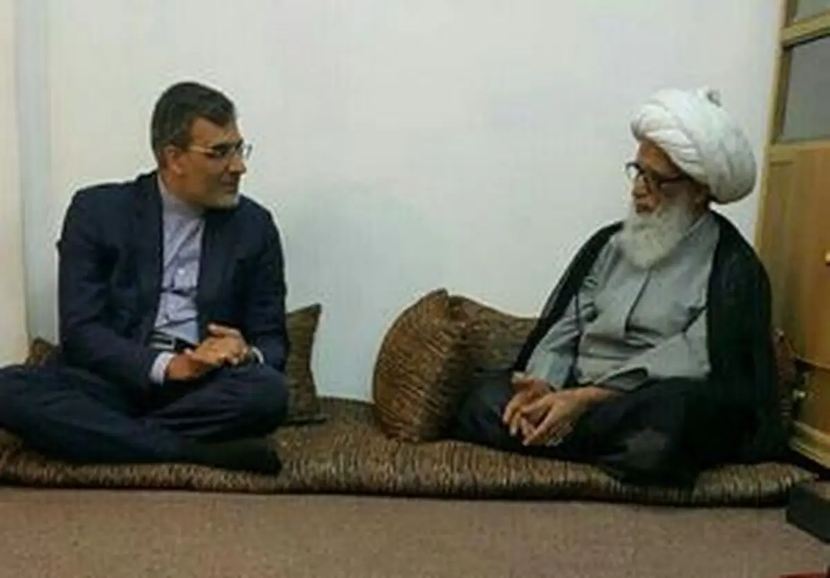 معاون وزیر خارجه با مراجع عظام تقلید در نجف دیدار کرد