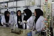 قزوین میزبان 288 دانش‌آموز از 32 استان است