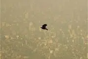 مراجعه ۵۸۰۰ بیمار با علائم تنفسی به بیمارستان‌ها