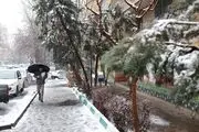 آماده سرمای شدید باشید؛ تهران یخ می‌زند
