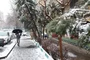 آماده سرمای شدید باشید؛ تهران یخ می‌زند
